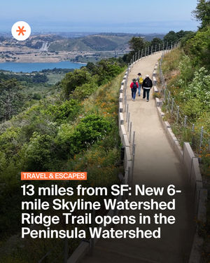 Image post by @secret_sanfrancisco on Instagram