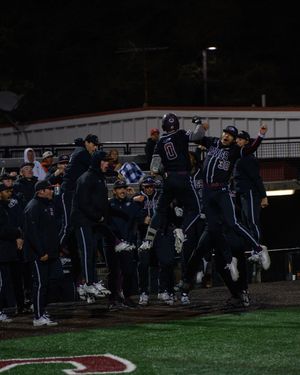 Image post by @siu_baseball on Instagram