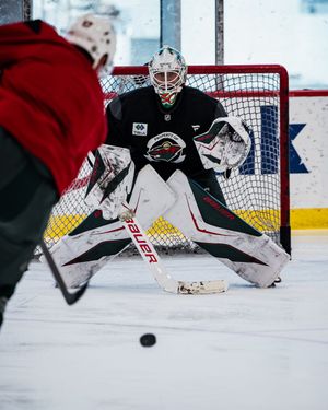 Image post by @mnwild on Twitter