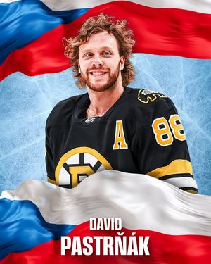 Image post by @nhlcesko on Instagram