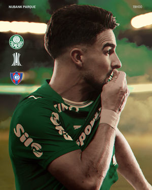 Image post by @palmeiras on Instagram