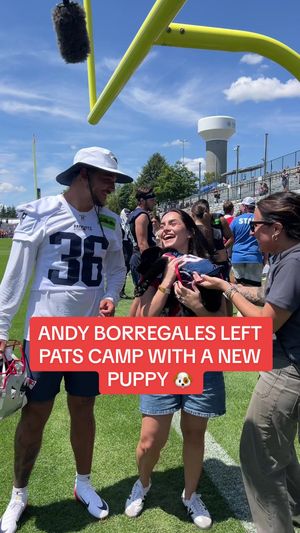 Video post by @patriots on TikTok