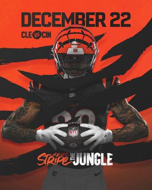 Image post by @bengals on Instagram