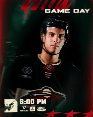 Image post by @minnesotawild on Instagram