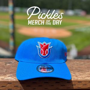 Image post by @picklesbaseball on Instagram