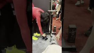 Video post by @chelsearhane on YouTube