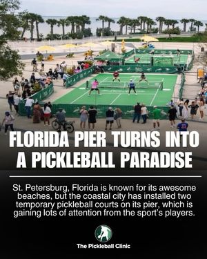 Image post by @thepickleballclinic on Instagram