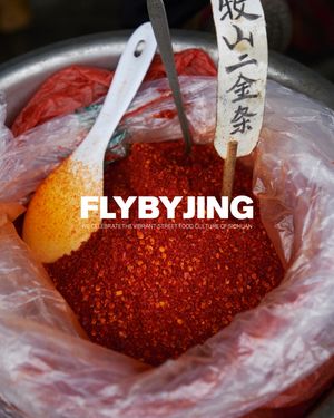 Image post by @flybyjing on Instagram