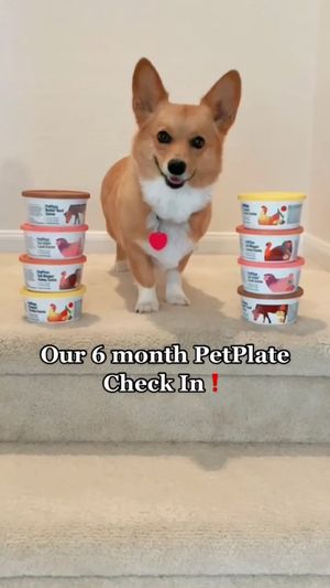 Video post by @aircorg on Instagram