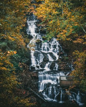 Image post by @wandernorthga on Instagram