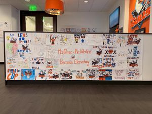 Image post by @sdgullsahl on Instagram