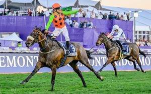Image post by @worldhorseracing on Instagram