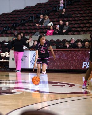 Image post by @siu_wbasketball on Instagram
