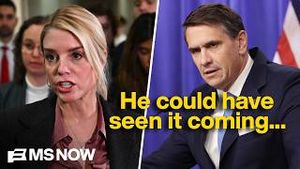 Video post by @msnbc on YouTube