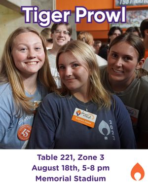 Image post by @clemsonmiracle on Instagram