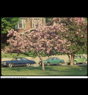 Image post by @toronto_archives on Instagram