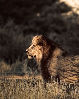 Image post by @mud_dust_overlanding on Instagram