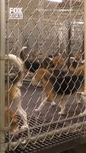 Video post by @fox6now on Instagram