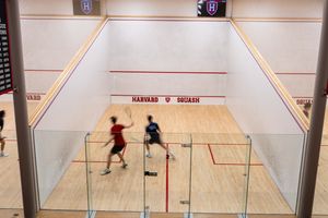 Image post by @harvardsquash on Instagram