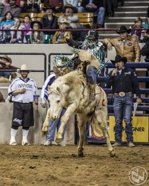 Image post by @nationalwestern on Instagram