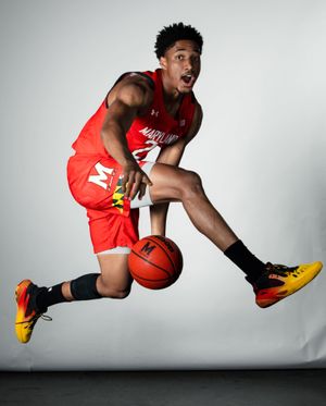 Image post by @terrapinhoops on Instagram