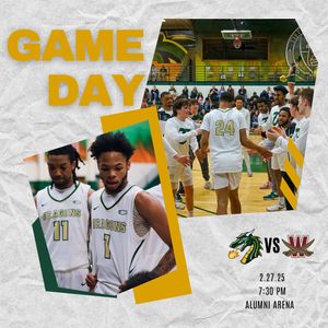 Image post by @tiffinuhoops on Instagram