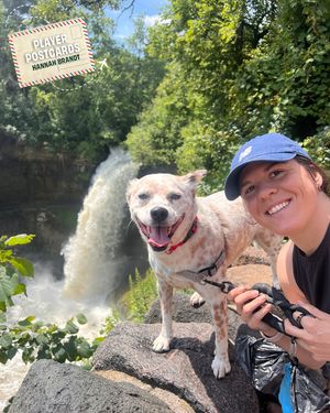 Image post by @pwhl_fleet on Instagram