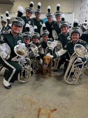 Image post by @zekethewonderdog_ on Instagram