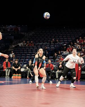 Image post by @gobearcatsvb on Instagram