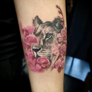 Image post by @tauntontattooco on Instagram