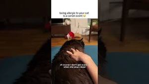 Video post by @claritin on YouTube