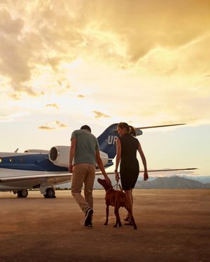 Image post by @wheelsup on Instagram