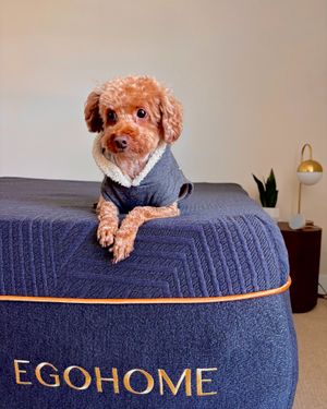 Image post by @egohomeofficial on Instagram