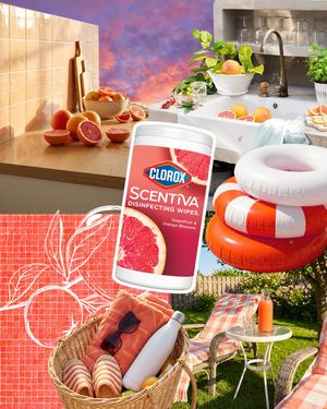 Image post by @clorox on Instagram