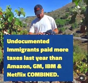 Image post by @tmorello on Twitter