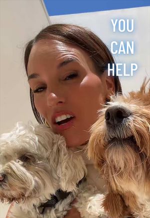 Video post by @heididamelio on TikTok