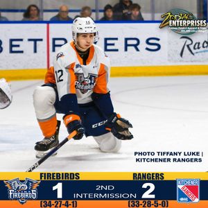 Image post by @FlintFirebirds on Twitter/X