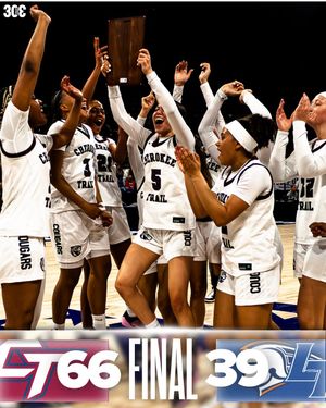 Image post by @303collect on Instagram