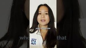 Video post by @semesteratseachannel on YouTube