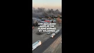 Video post by @cnn on YouTube