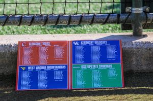 Image post by @upstatebsb on Instagram