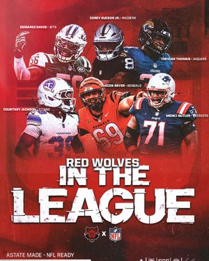 Image post by @redwolvesfb on Instagram