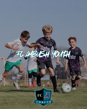 Image post by @stlouisambush on Instagram