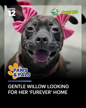 Image post by @news12nj on Instagram