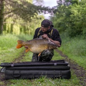 Image post by @brothercarp on Instagram