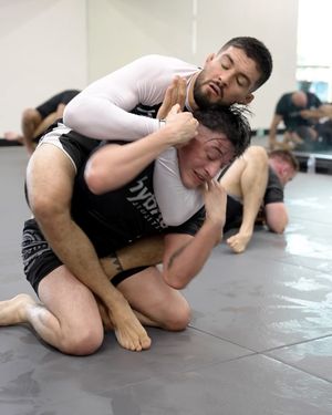 Image post by @ufcbjj on Instagram