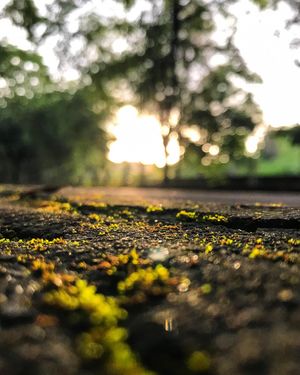 Image post by @traveluvgrapher on Instagram