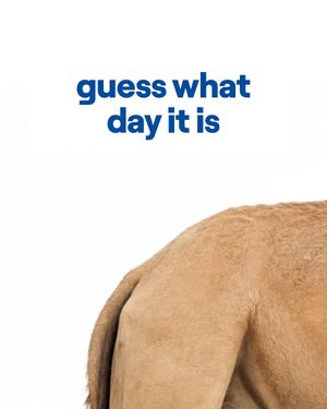 Video post by @geico on TikTok