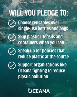 Image post by @oceana on Instagram