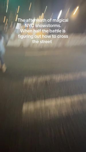 Video post by @sophiasreallife on TikTok